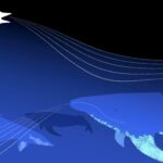 A Madárhangokon képzett Google‑AI váratlan pontossággal ismeri fel a bálnahívásokat